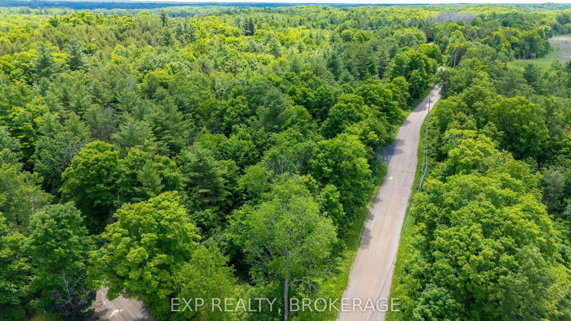 1881 ELM TREE Road — photo 1