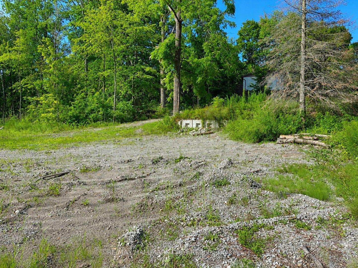 241 Mountain Avenue, Tay — Land for sale, photo 7