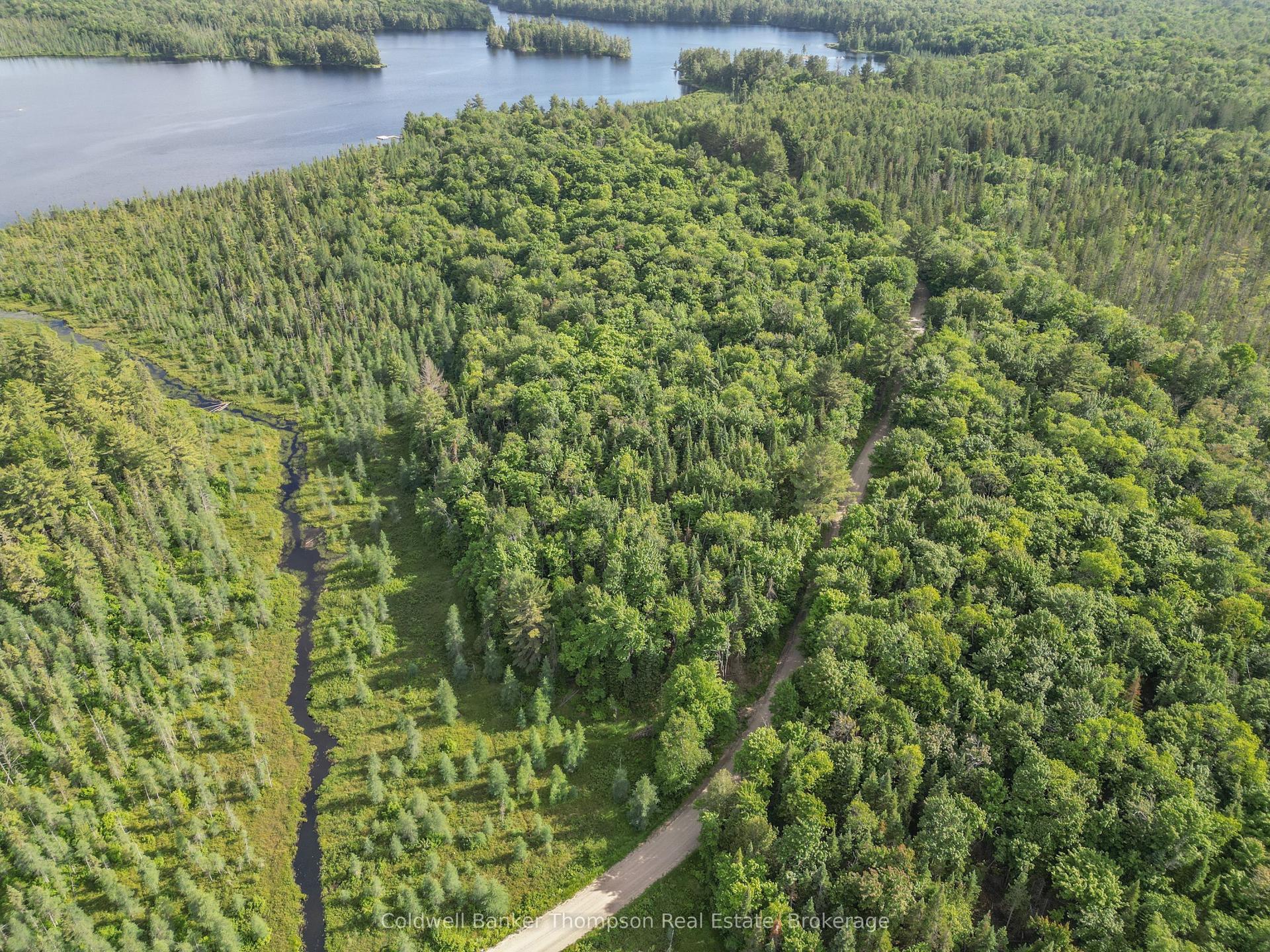 Part 3 AXE LAKE Road — photo 1