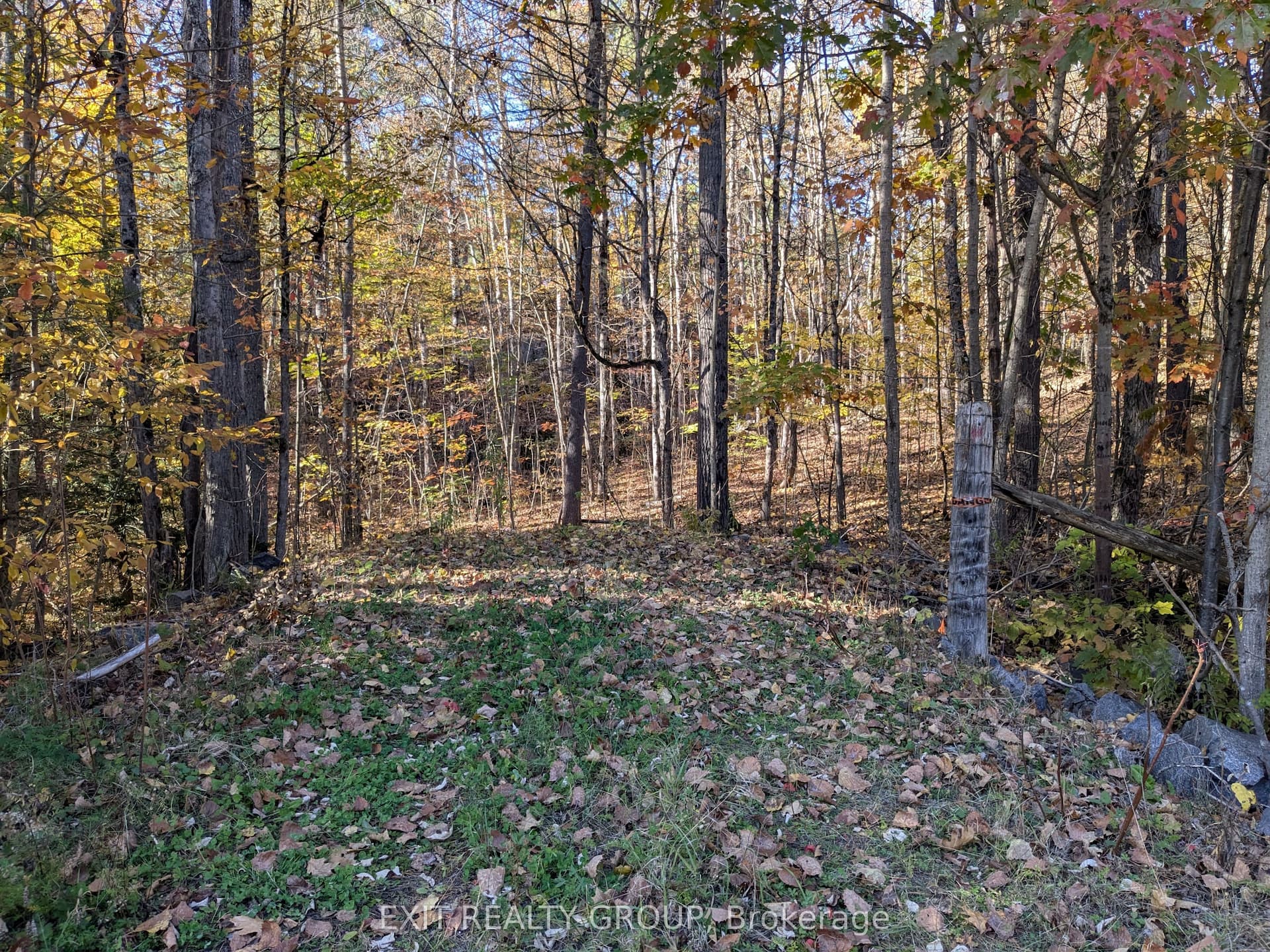 0 Flinton Road — photo 1