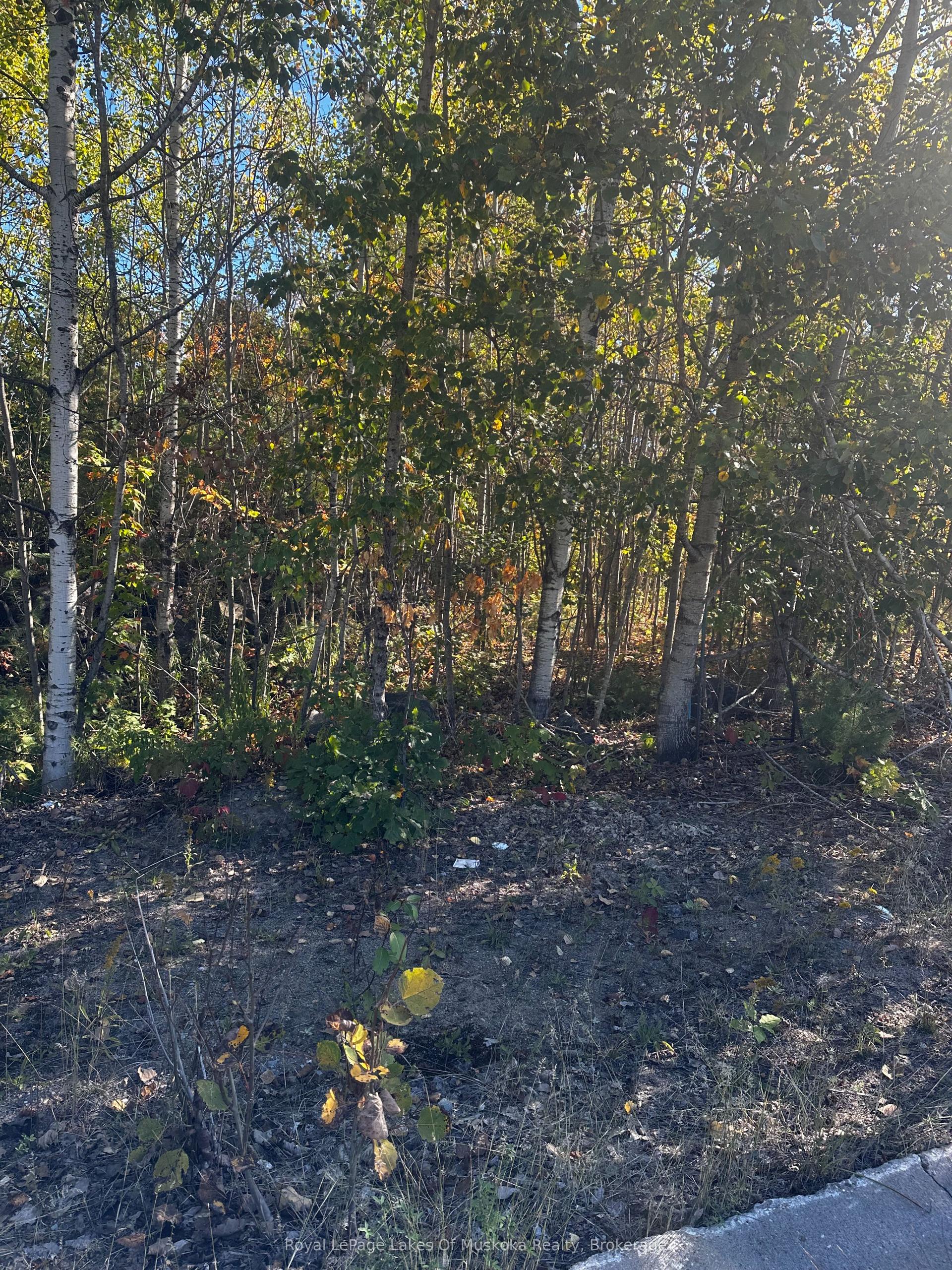 23 Freeland Drive — photo 1