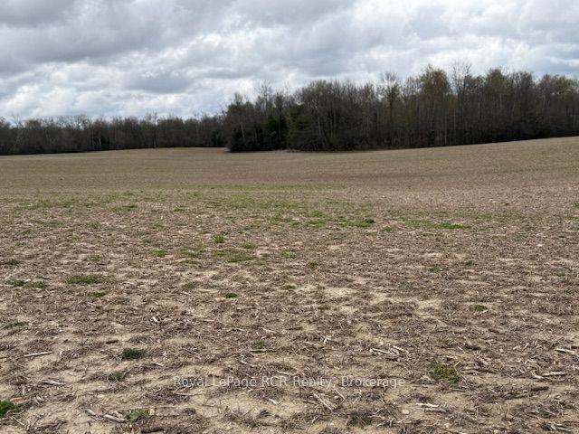 Lot 25 Con 7 Concession — photo 1