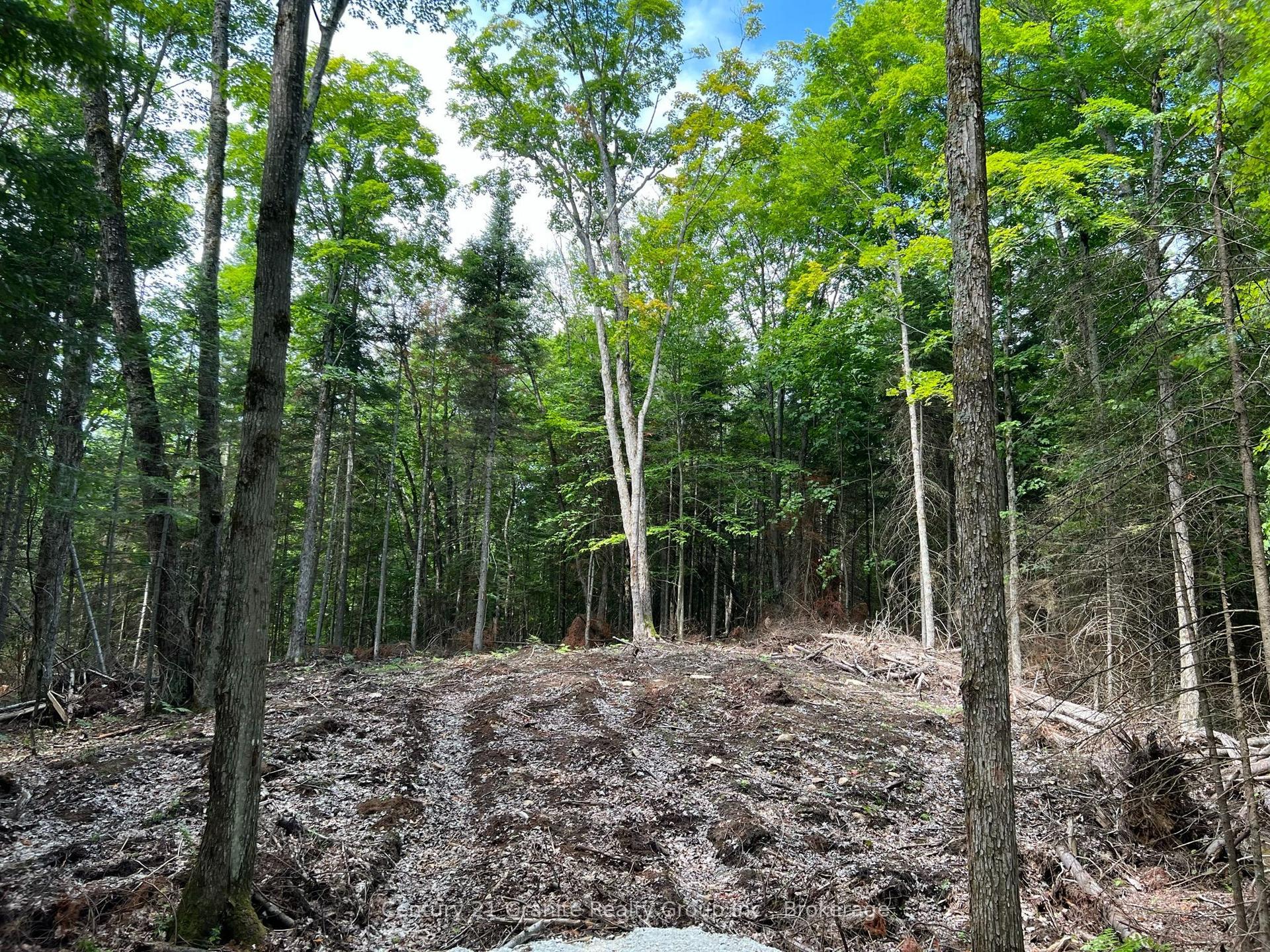 LOT 26 WEST Court — photo 1