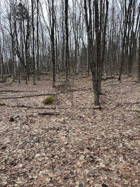 0 Providence Drive — photo 1