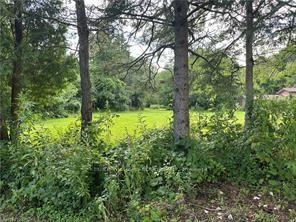 1161 Edgewood Road — photo 1