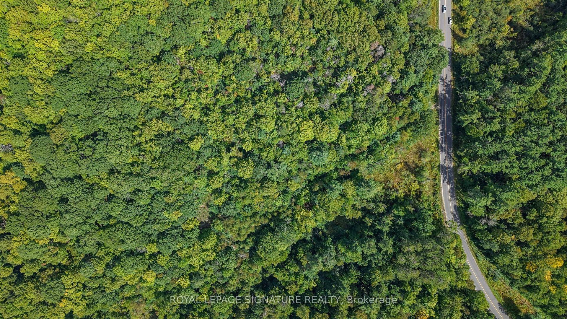 LT 19-20 CON 1 MEDORA, Muskoka Lakes — Land for sale, photo 1