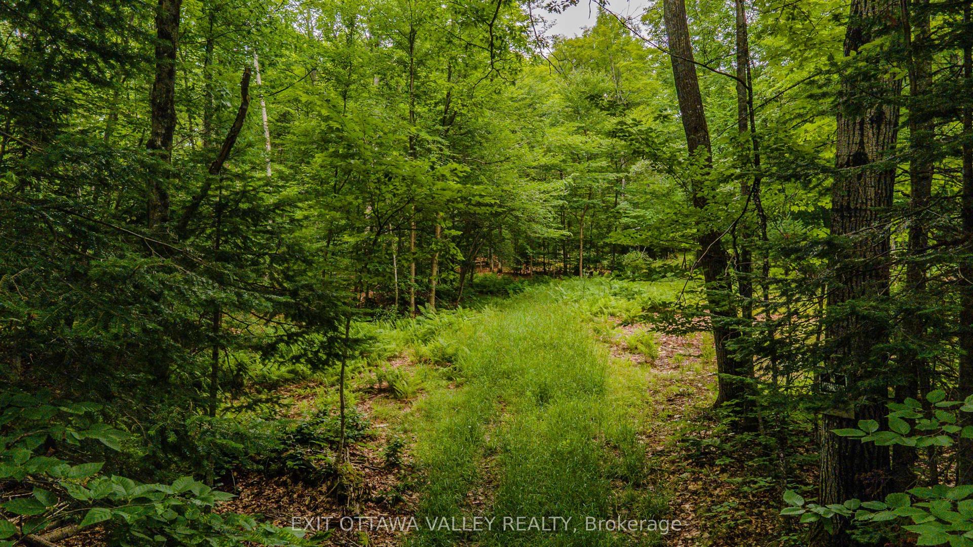0 Peplinskie Road, Madawaska Valley — Land for sale, photo 1