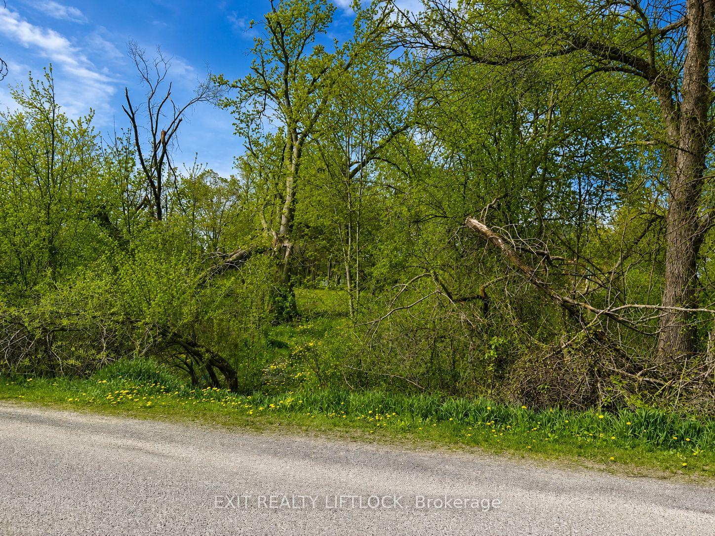 0 Maple Ridge Drive — photo 1