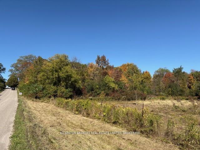 254 Briar Hill Road — photo 1
