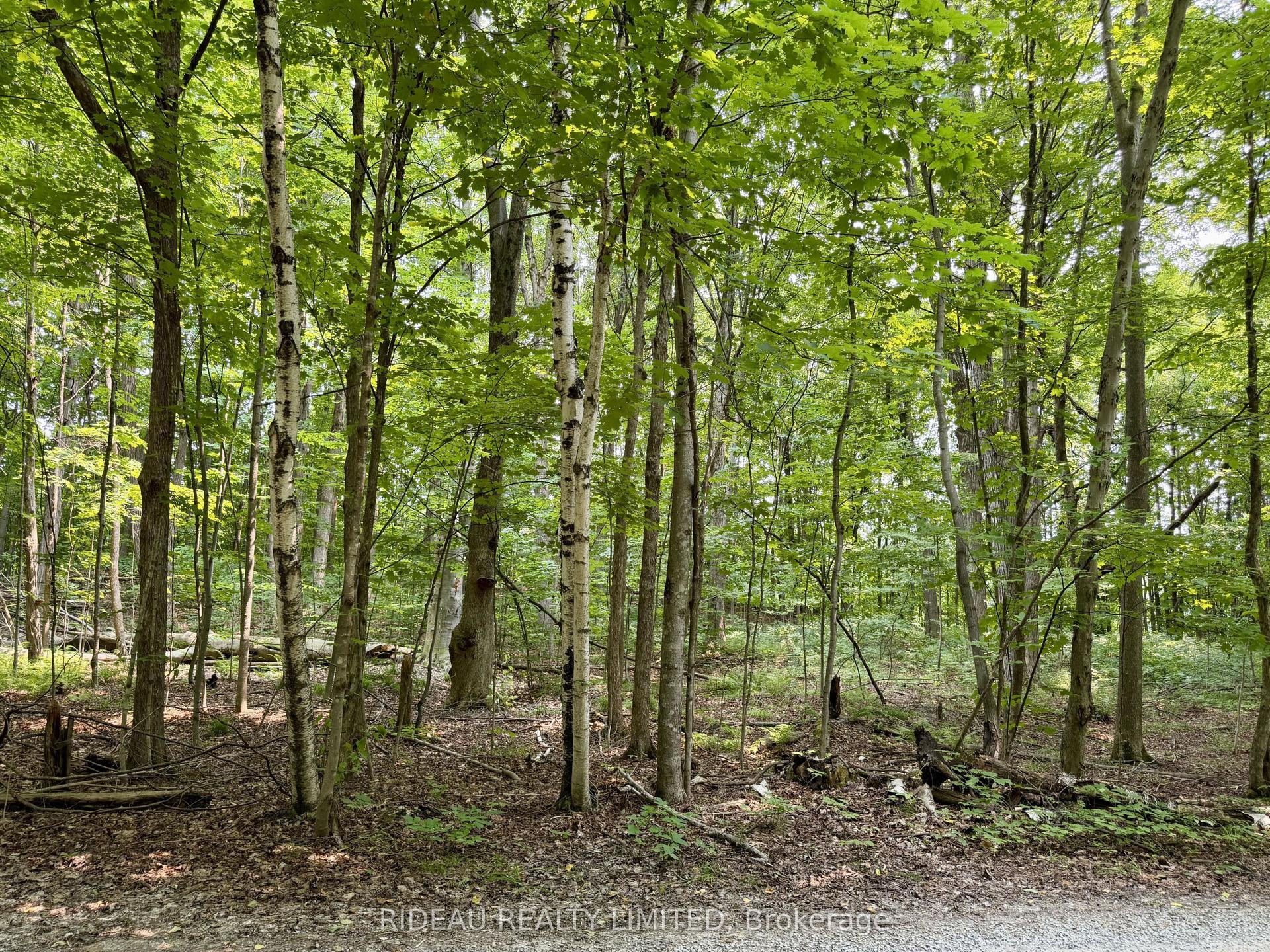 PT 38 Cedar Sands Road, Rideau Lakes — Land for sale, photo 1