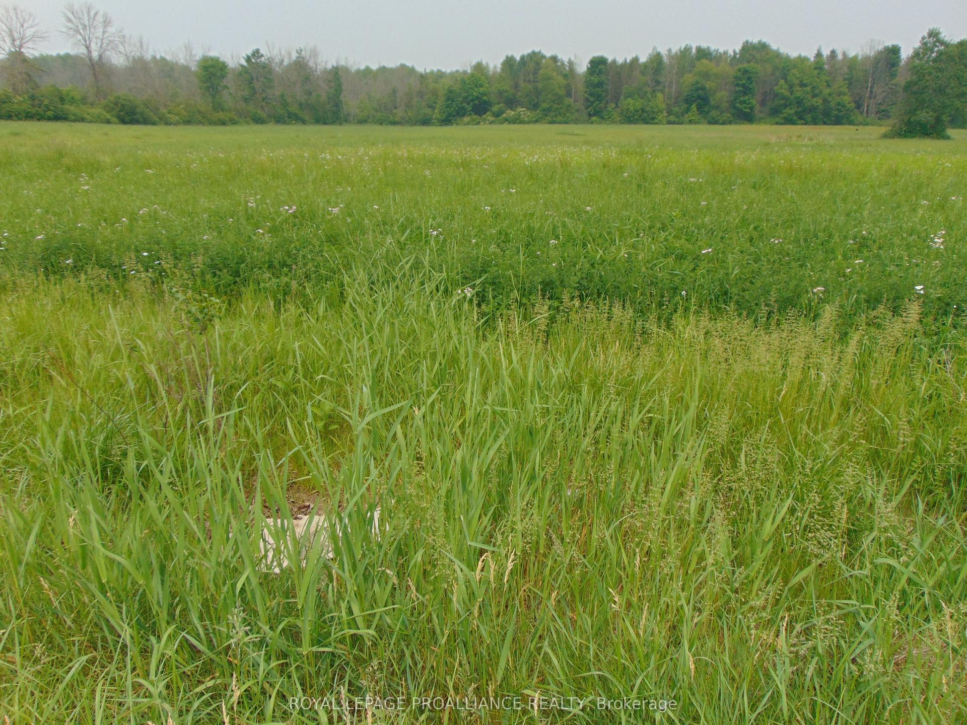 00 Charleville Road N, Augusta — Land for sale, photo 1