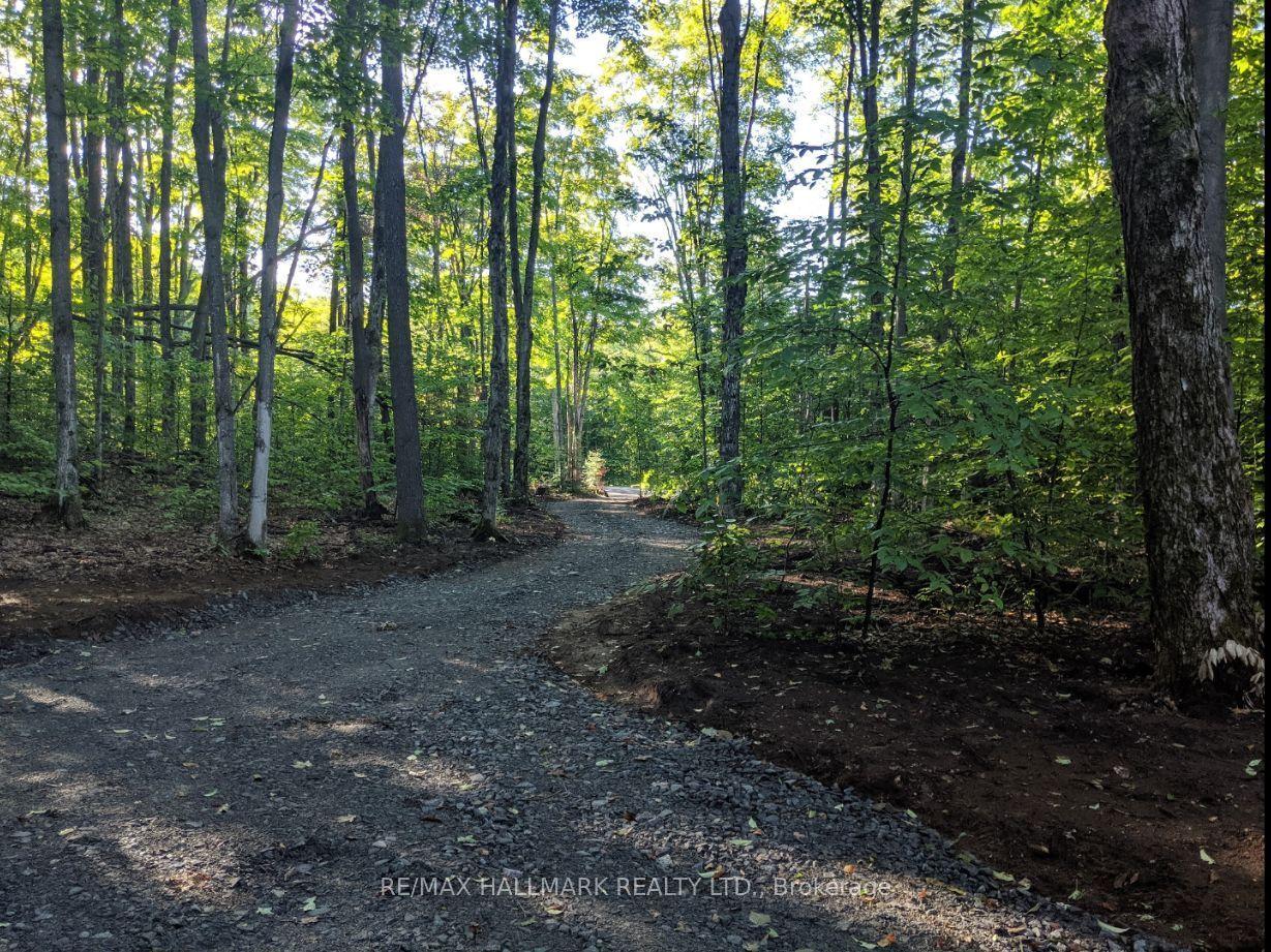458 White House Road, Huntsville — Land for sale, photo 1