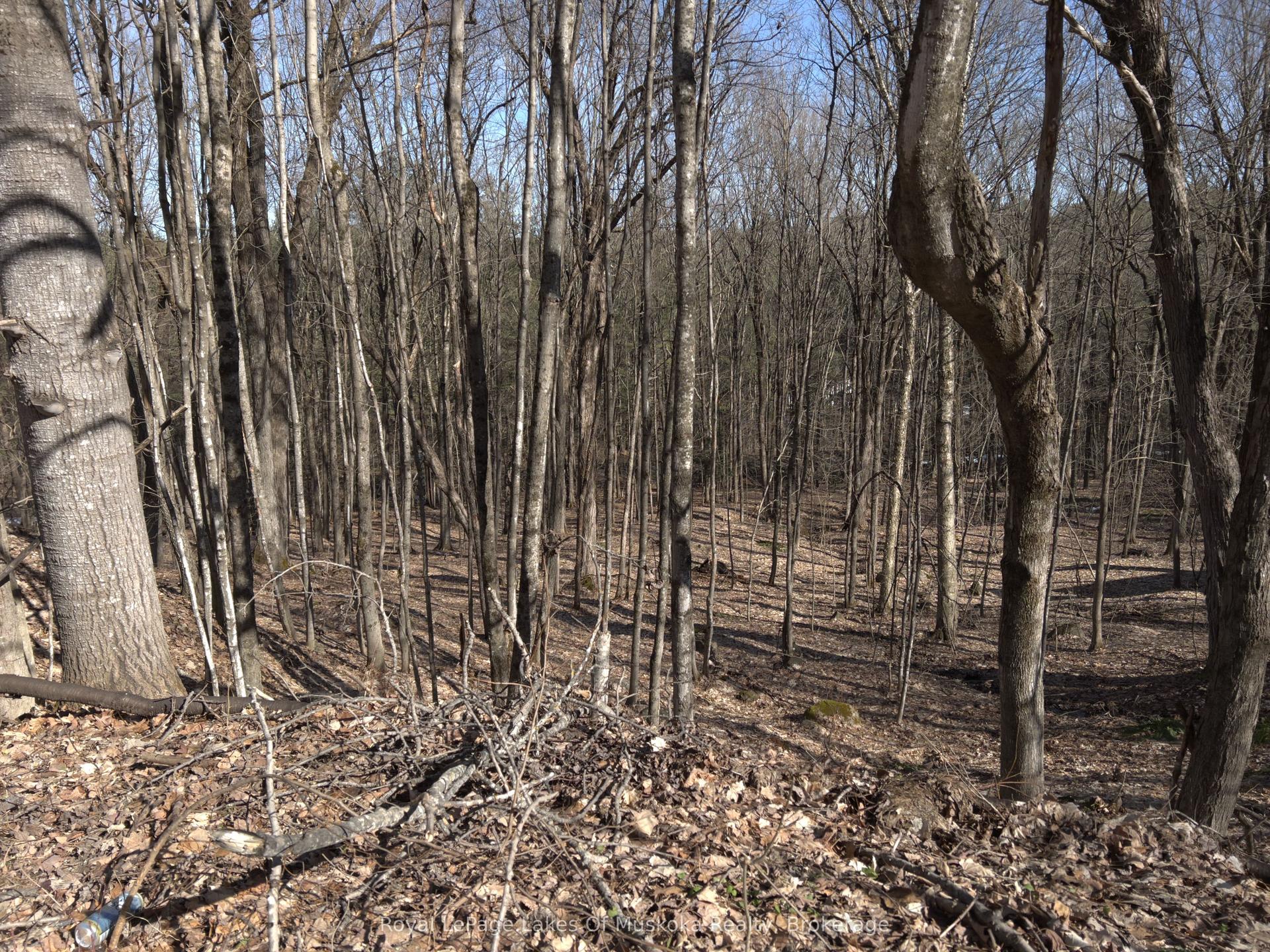 0 SOUTH MUSKOKA Drive — photo 1