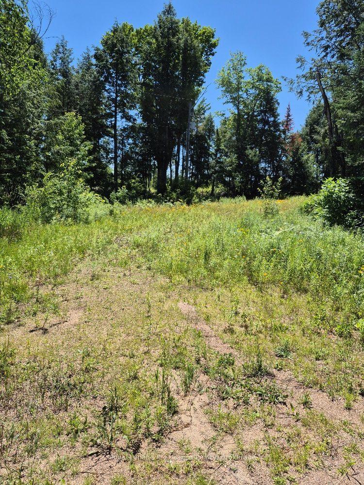 Lot 18 North Steenburg Lake Road, Wollaston — Land for sale, photo 1