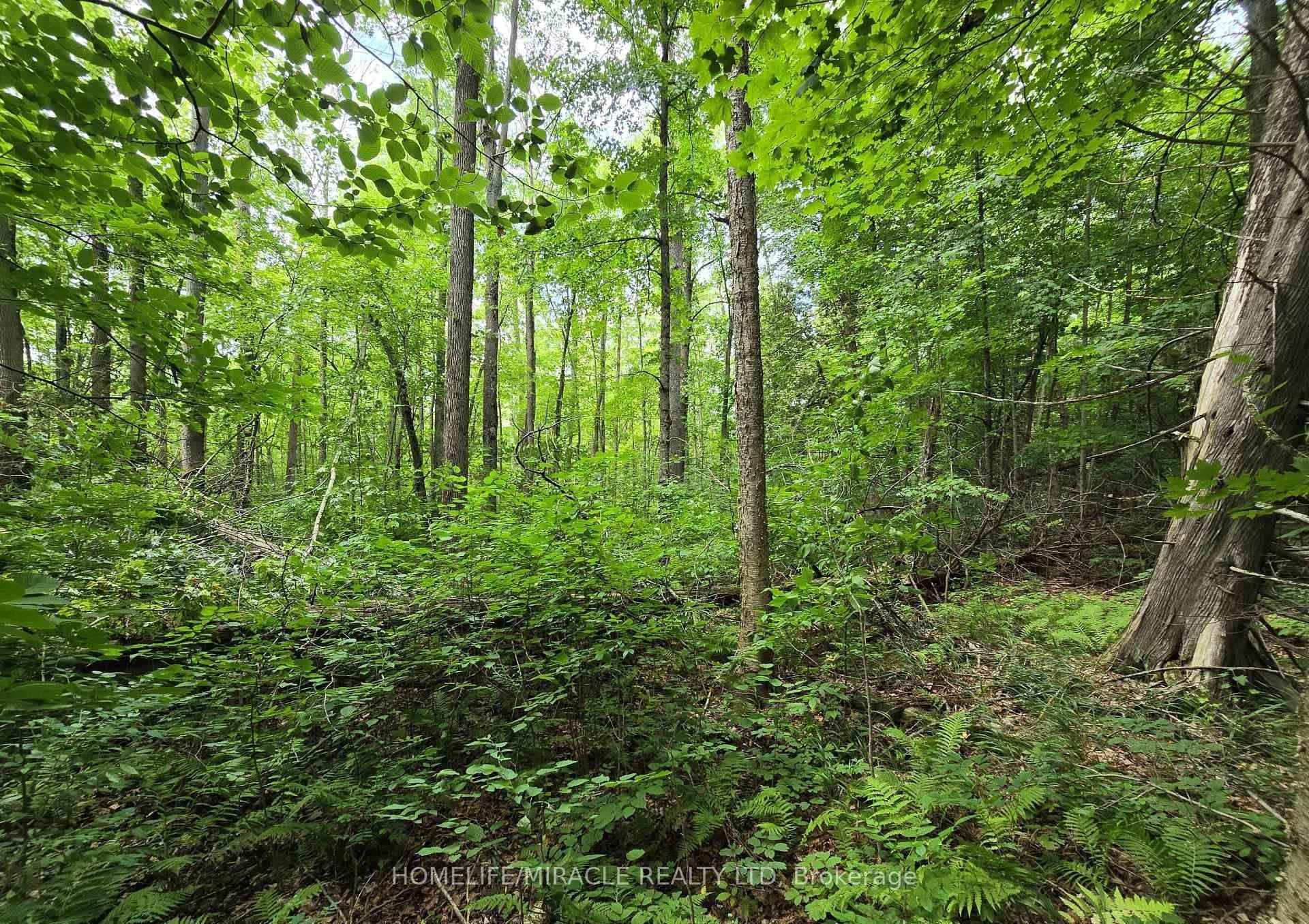 000 Cedar Sands Road — photo 1