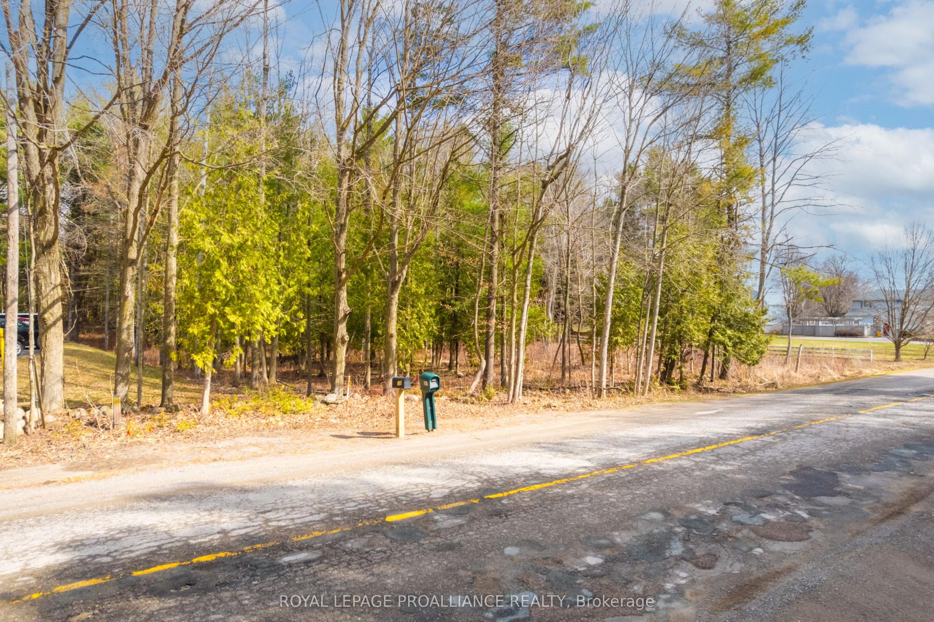 00 Whites Road — photo 1