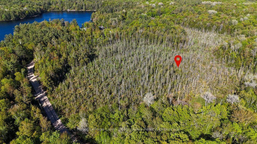 1356 Dickie Lake Road, Lake of Bays — Land for sale, photo 1