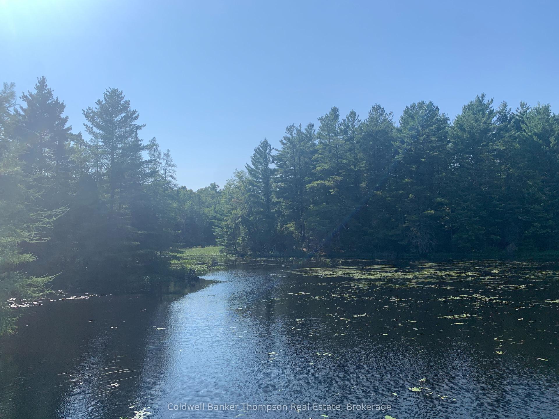 LT17&18 CON8 & LT18 CON 9 Carlsmount Road, Bracebridge — Land for sale, photo 1