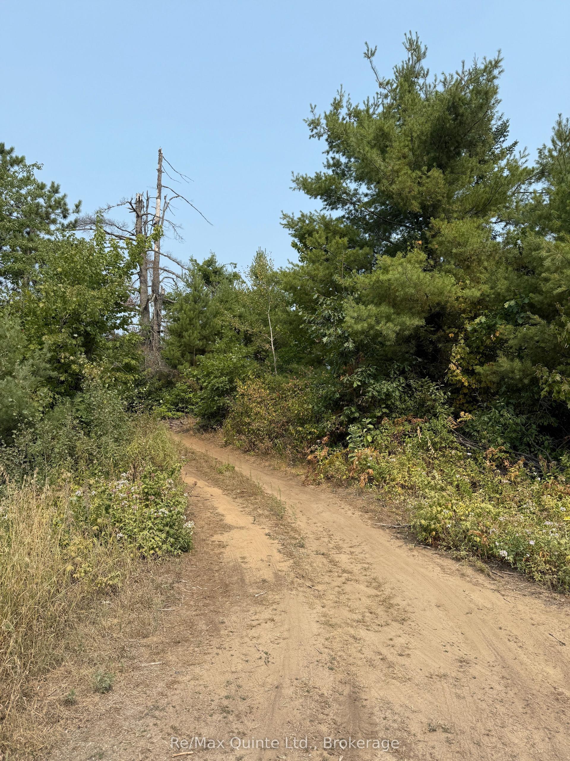 0 Potter Settlement Road, Tweed — Land for sale, photo 1