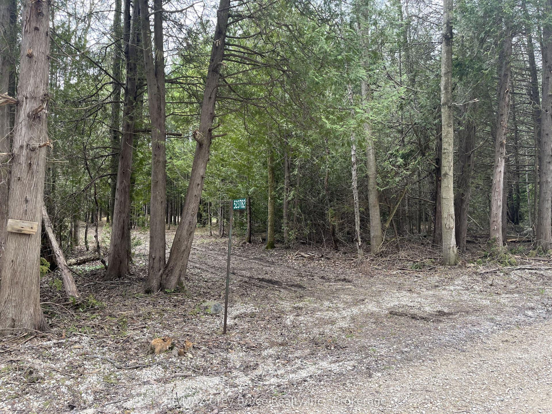 523782 Concession 12 Road — photo 1