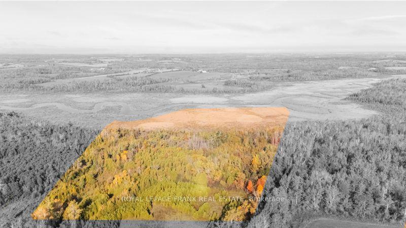 740 Mount Horeb Road, Kawartha Lakes — Land for sale, photo 1