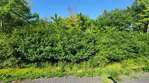 LOT 7 PLAN 246 Tolmies Corners Road, North Stormont — Land for sale, photo 1