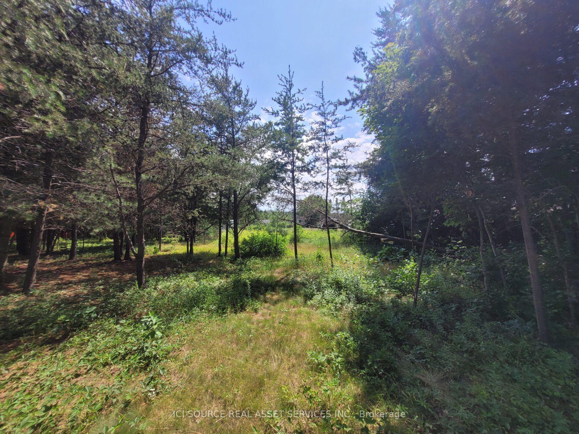 6 Grey Street, Sables-Spanish Rivers — Land for sale, photo 1