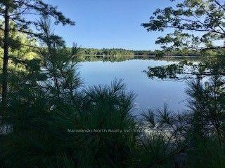 PCL 29625 Island M N/A — photo 1
