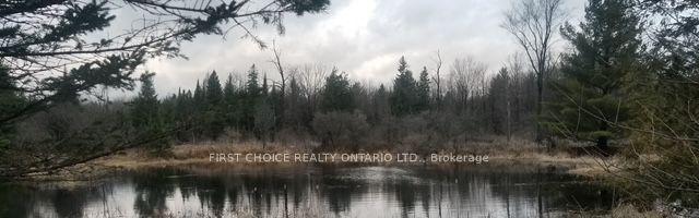 229 Norris Road — photo 1