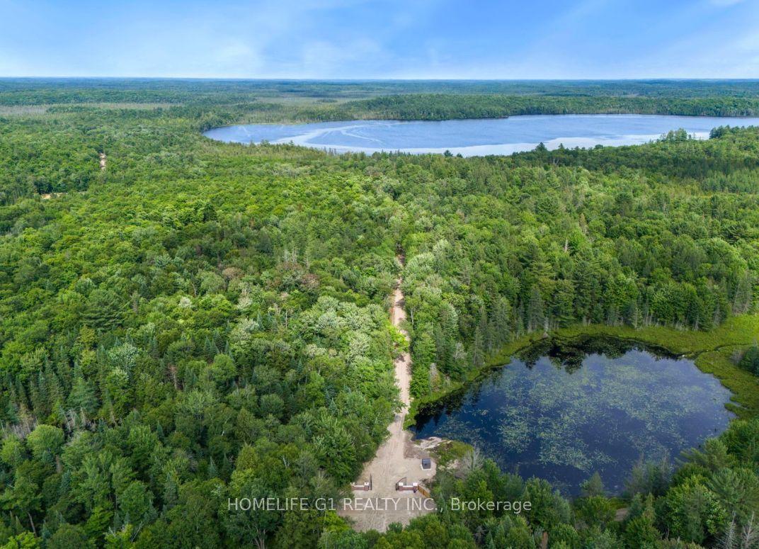 15 Axe Lake Road — photo 1