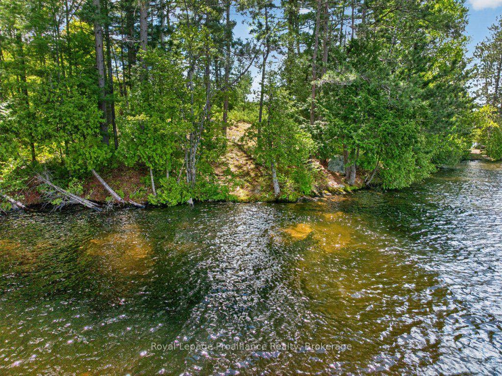 2485 Alf's Bay Lane — photo 1