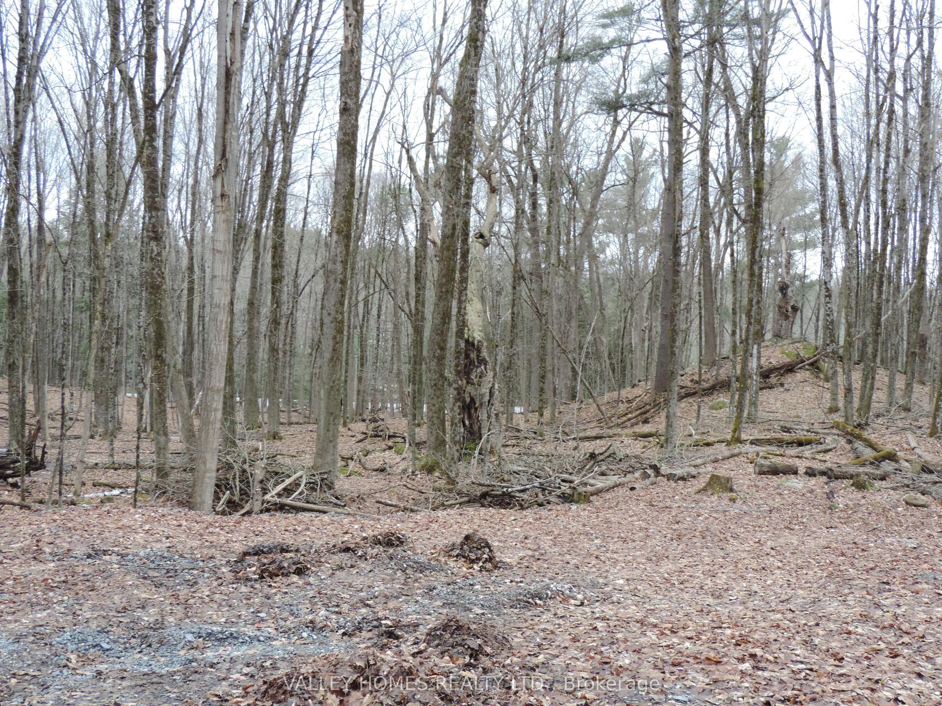 L1 -297 HARDING Road — photo 1