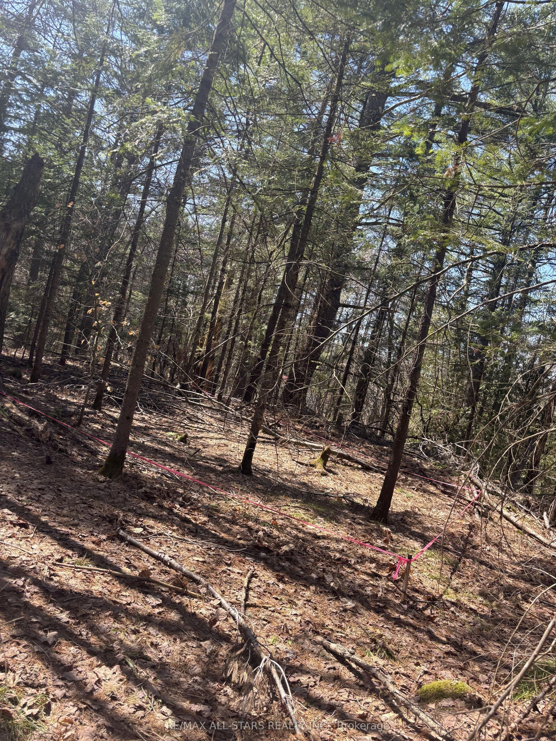 0 Kirkpatrick Lane — photo 1
