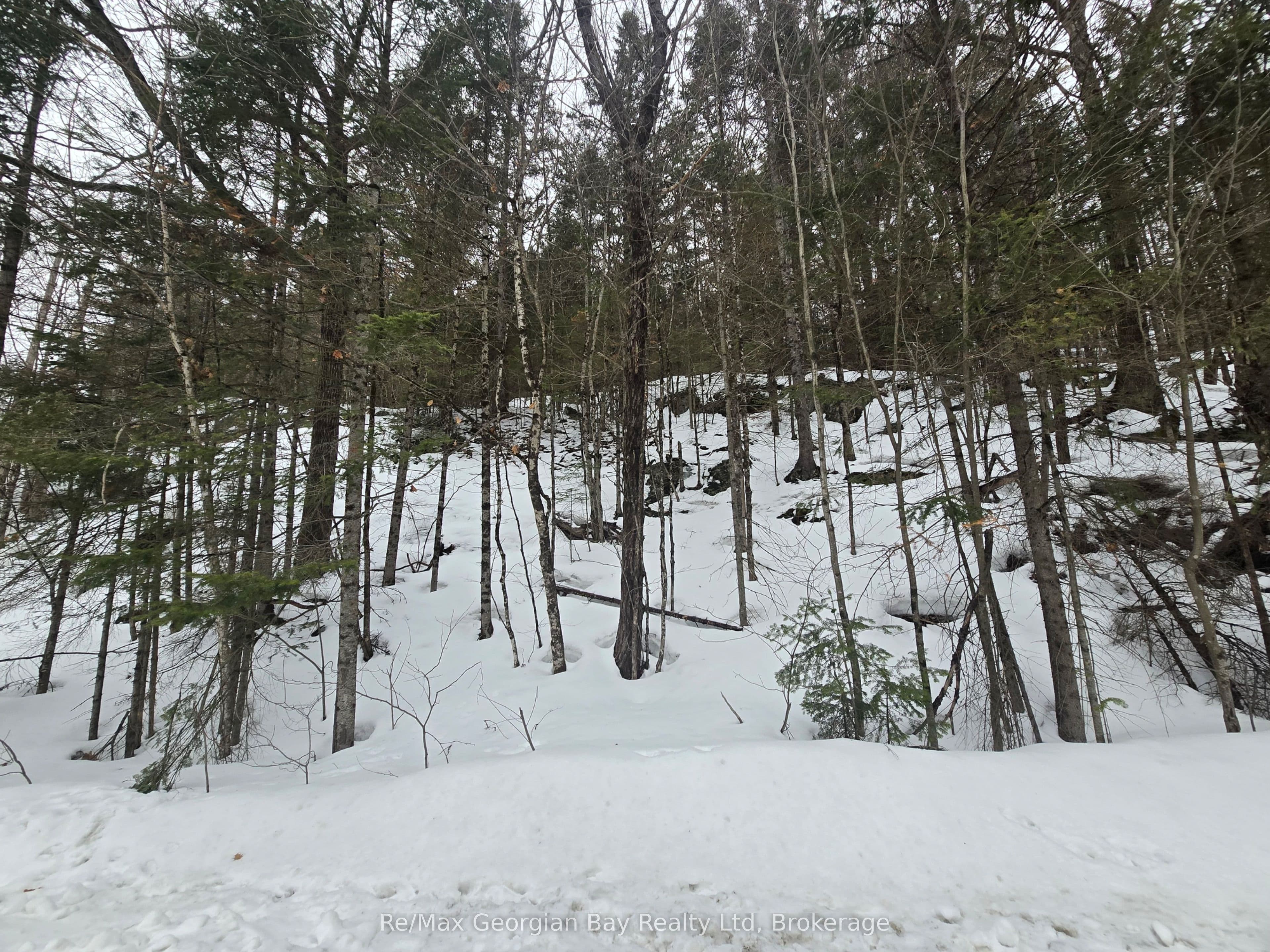 107 Balsam Chutes Road — photo 1