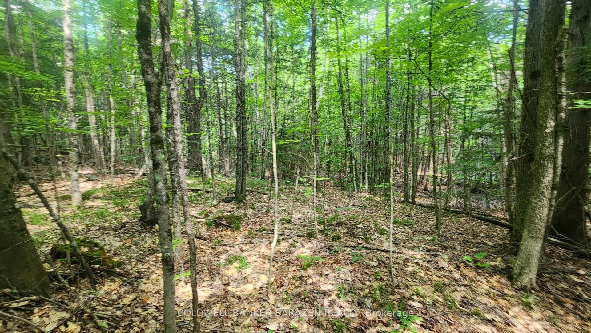 00 Canaan Road, McNab/Braeside — Land for sale, photo 1
