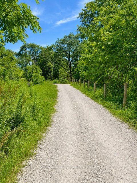 241 Mountain Avenue, Tay — Land for sale, photo 2