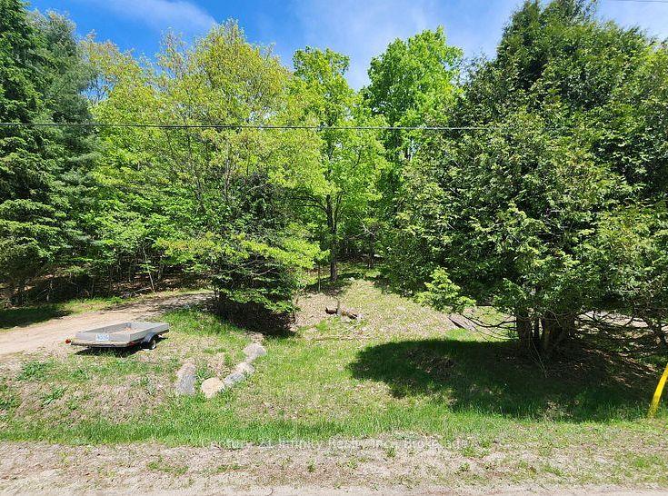 0 Park Street, Dysart et al — Land for sale, photo 1