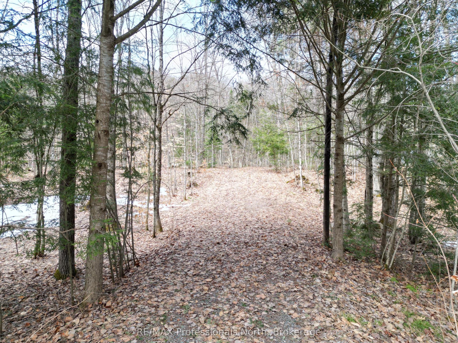 1231 Big Hawk Lake Road — photo 1