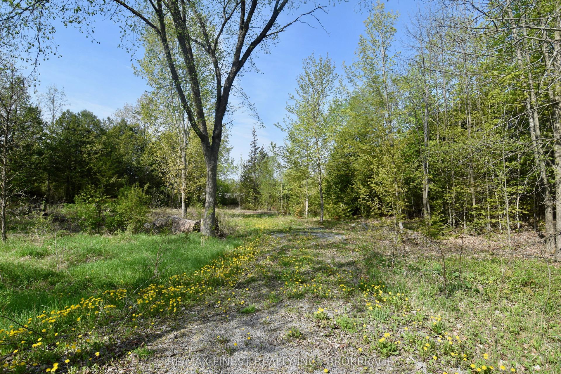 20 Ballantra Drive, Stone Mills — Land for sale, photo 1