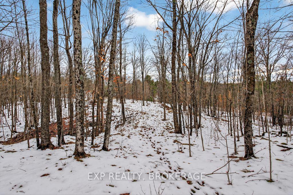0 HILLTOP Road — photo 1