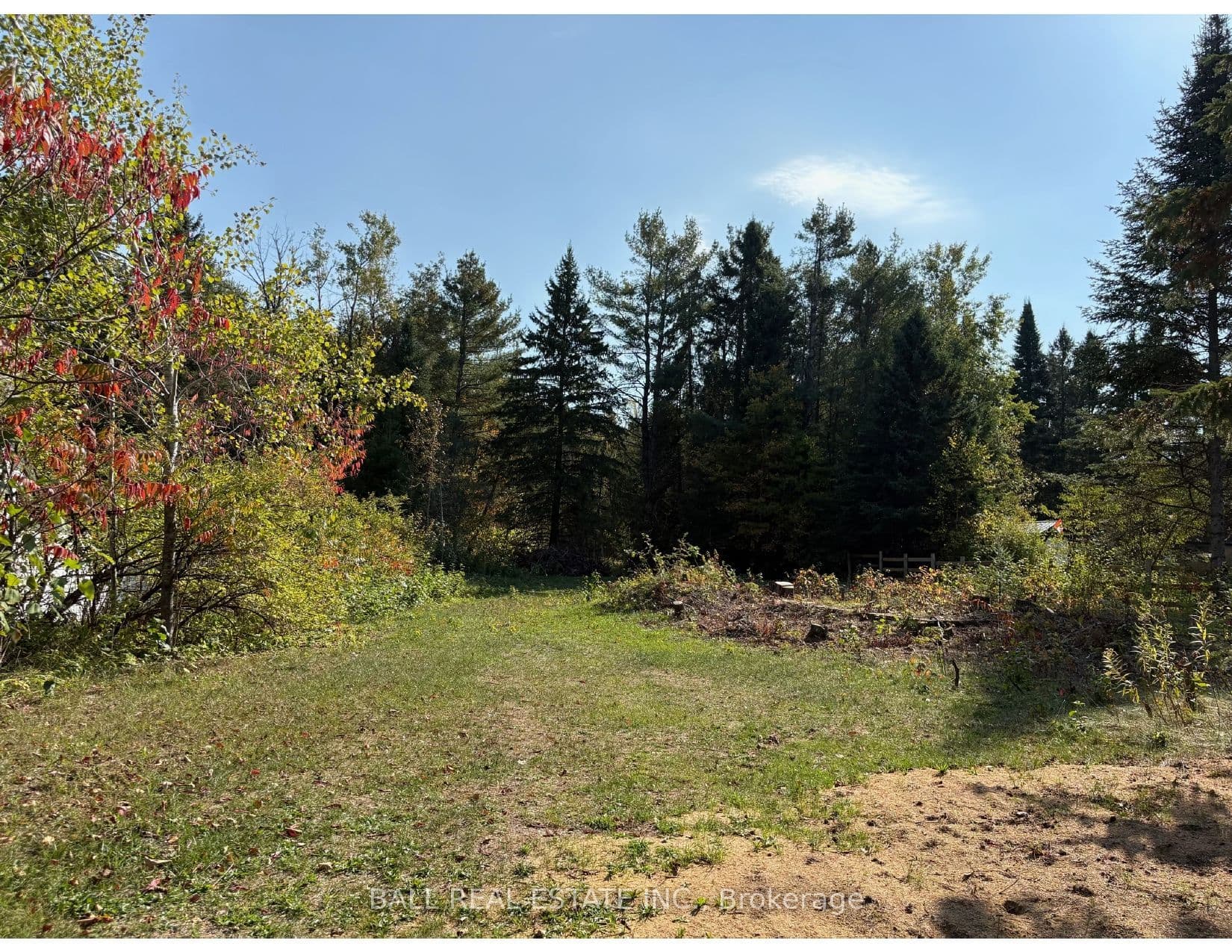 0 The Avenue N/A — photo 1