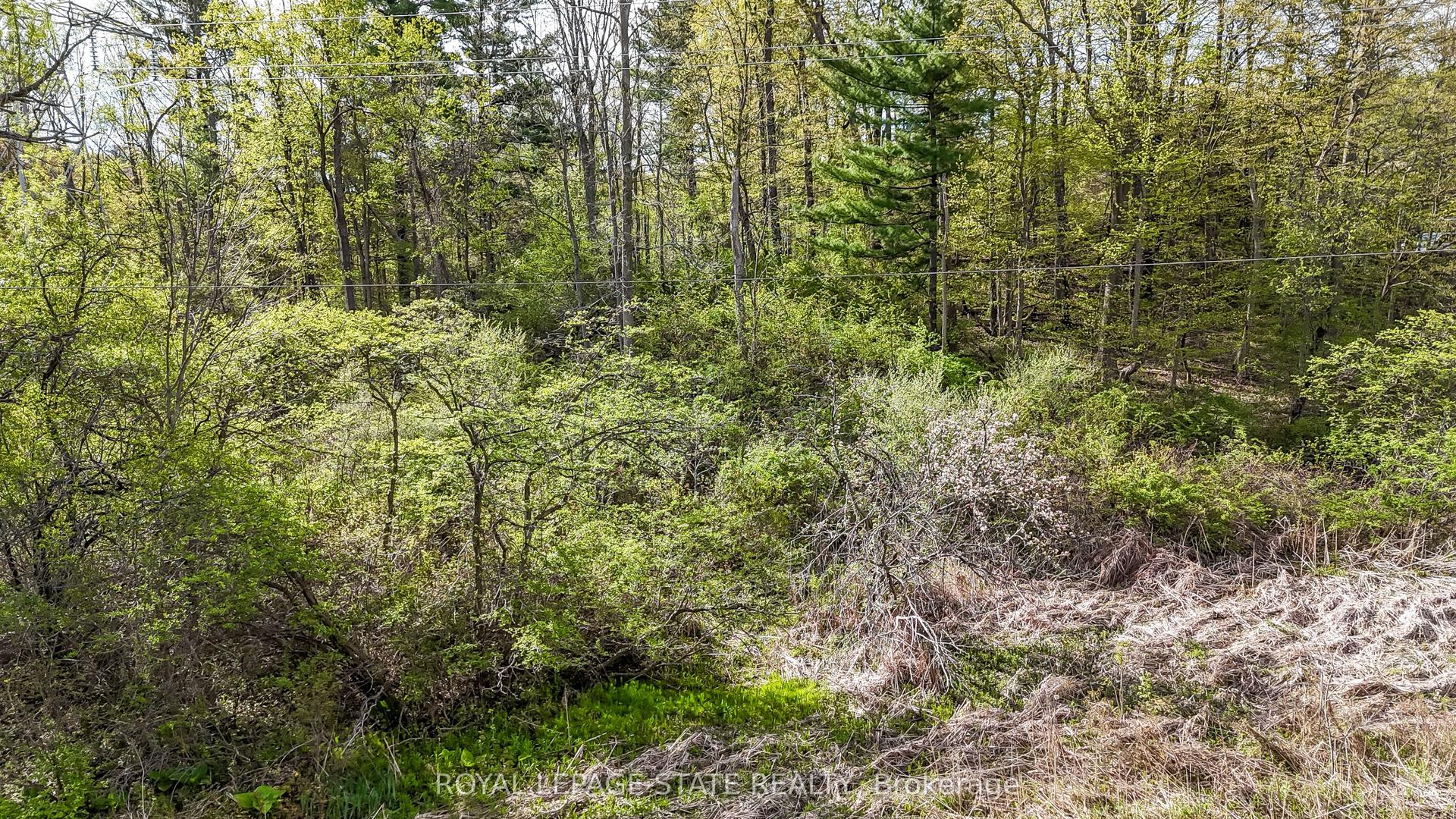 0 Mineral Springs Road — photo 1