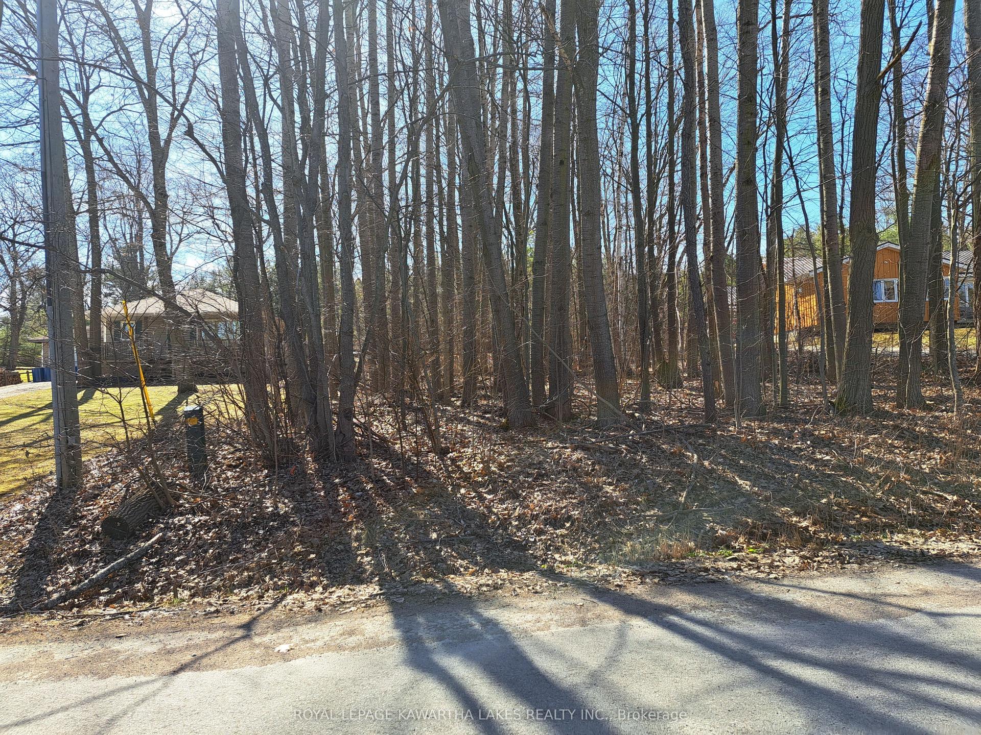 0 Poplar Drive — photo 1
