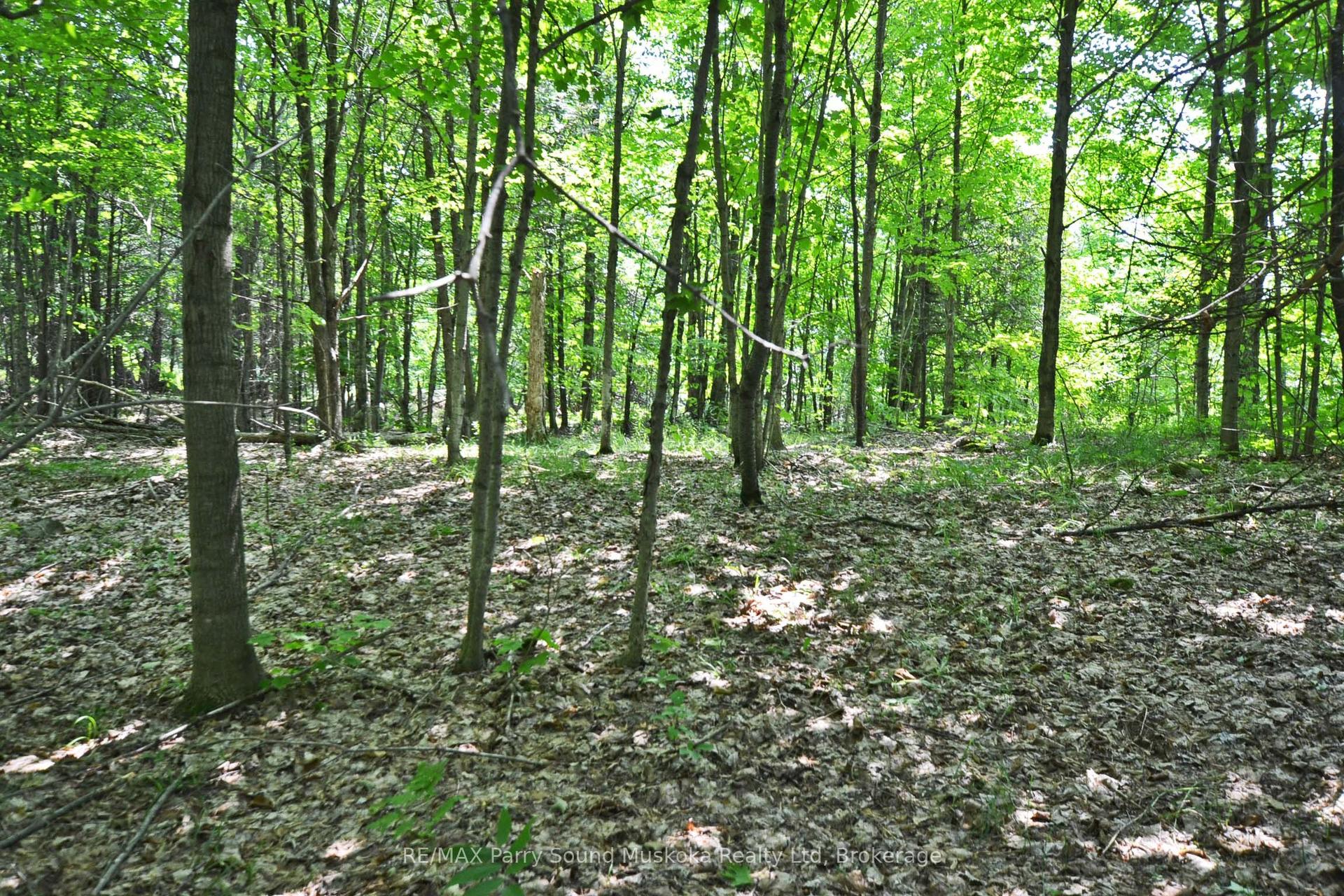 19 Turtle Lane — photo 1