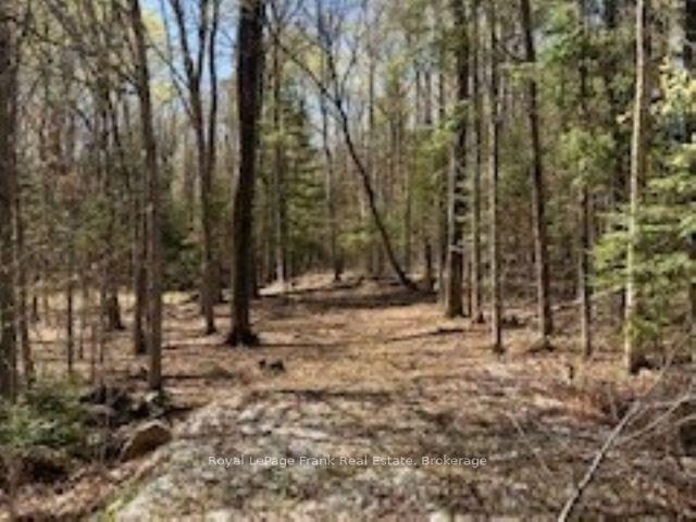 PT LT 66 North Drive — photo 1