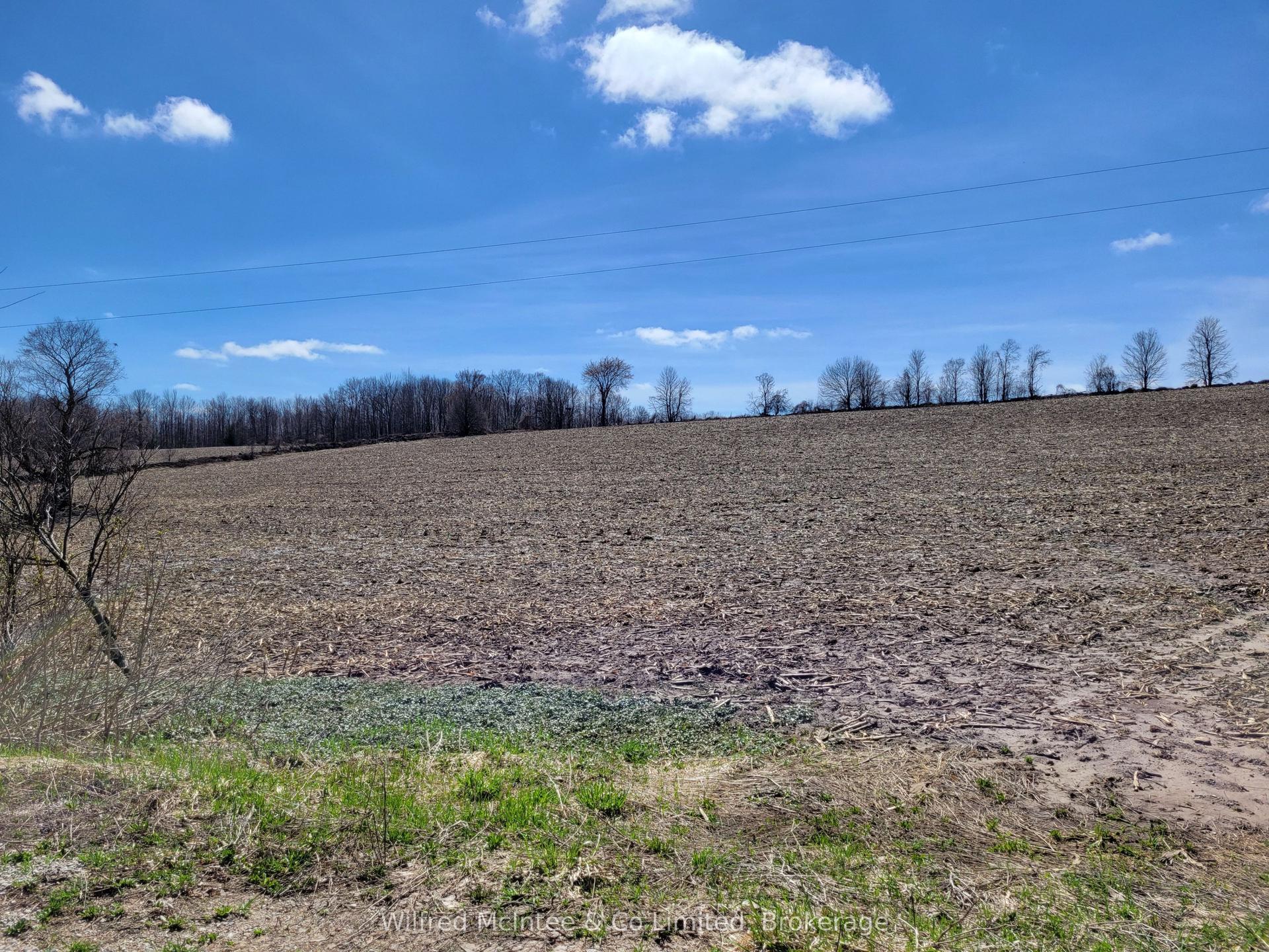 LT 20 SIDEROAD 20 NDR N/A — photo 1