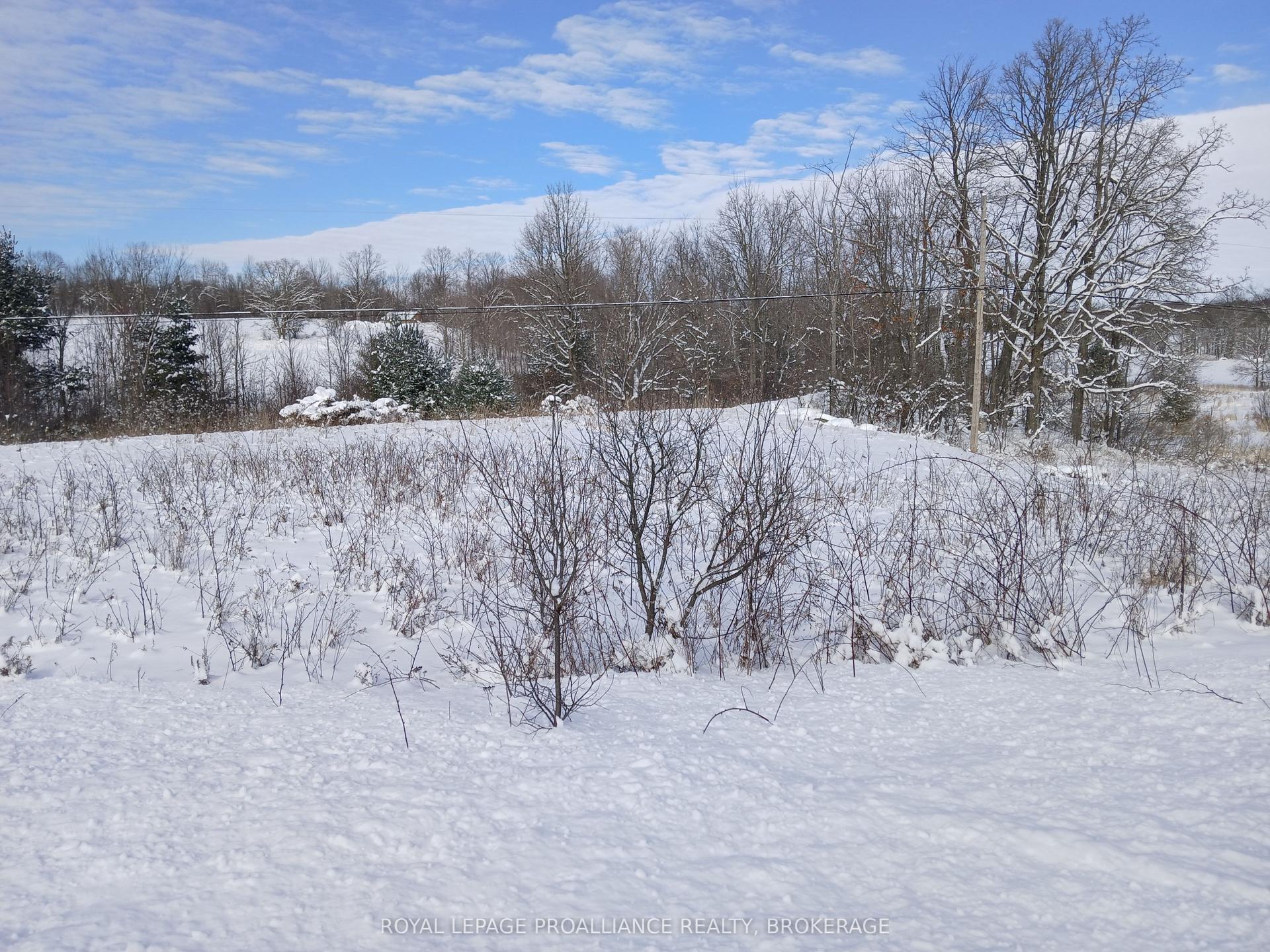 268 Crozier Road — photo 1