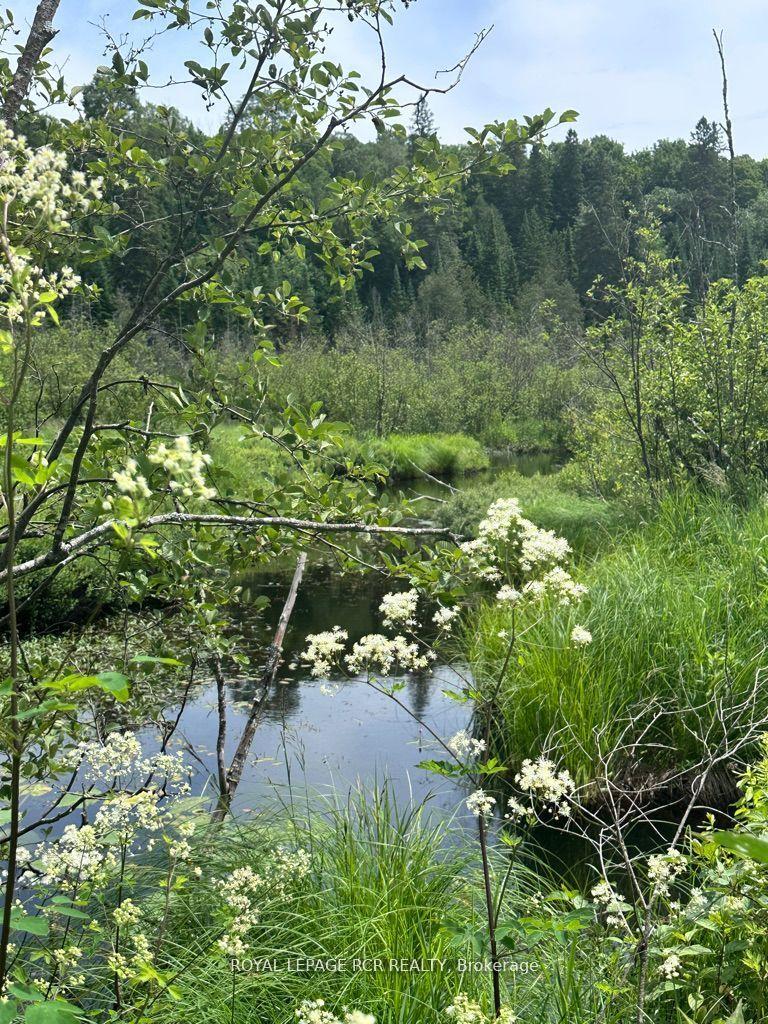 0 Pt Lt 6 Con 9 N/A — photo 1