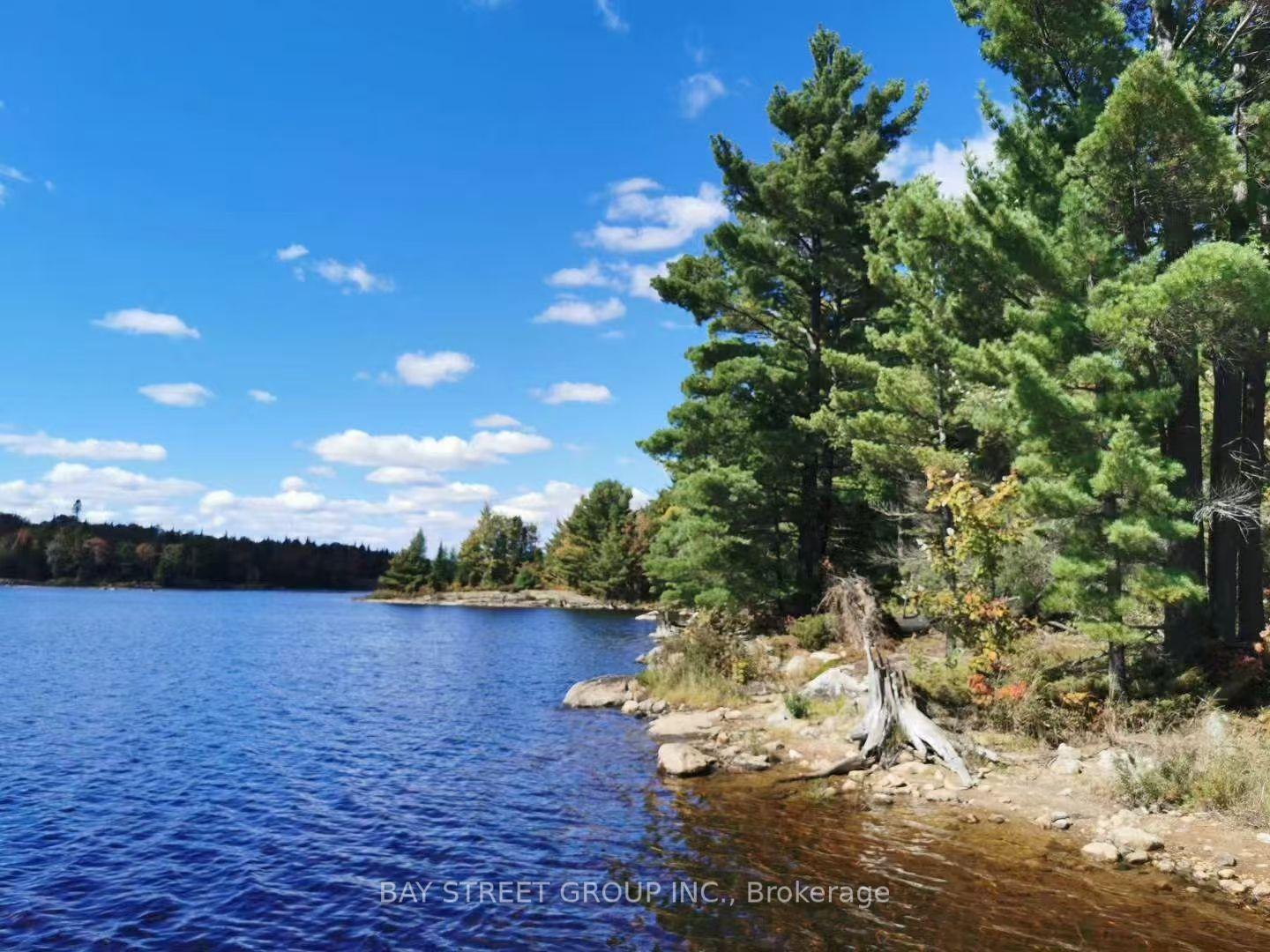 157 Lake Vision Road, McMurrich/Monteith — Land for sale, photo 1