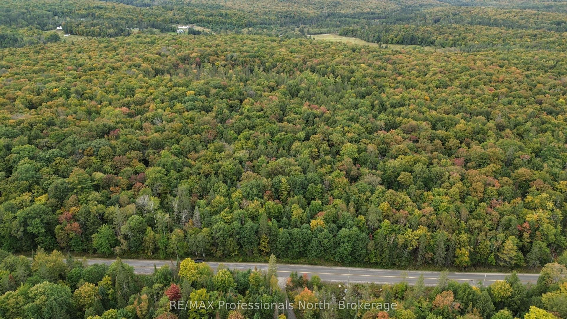 Concession 5 Lot 17 Aspdin Road, Muskoka Lakes — Land for sale, photo 1